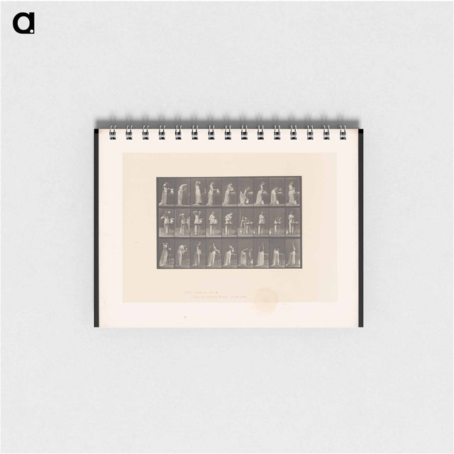 アートメモ帳-Woman at Her Washstand
 - エドワード マイブリッジ Memo.