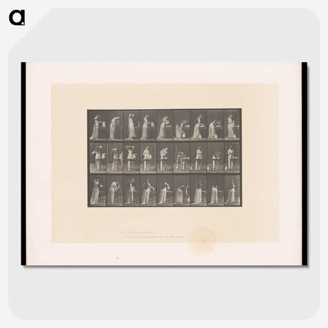 3-22_Eadweard-Muybridge_picture-crop