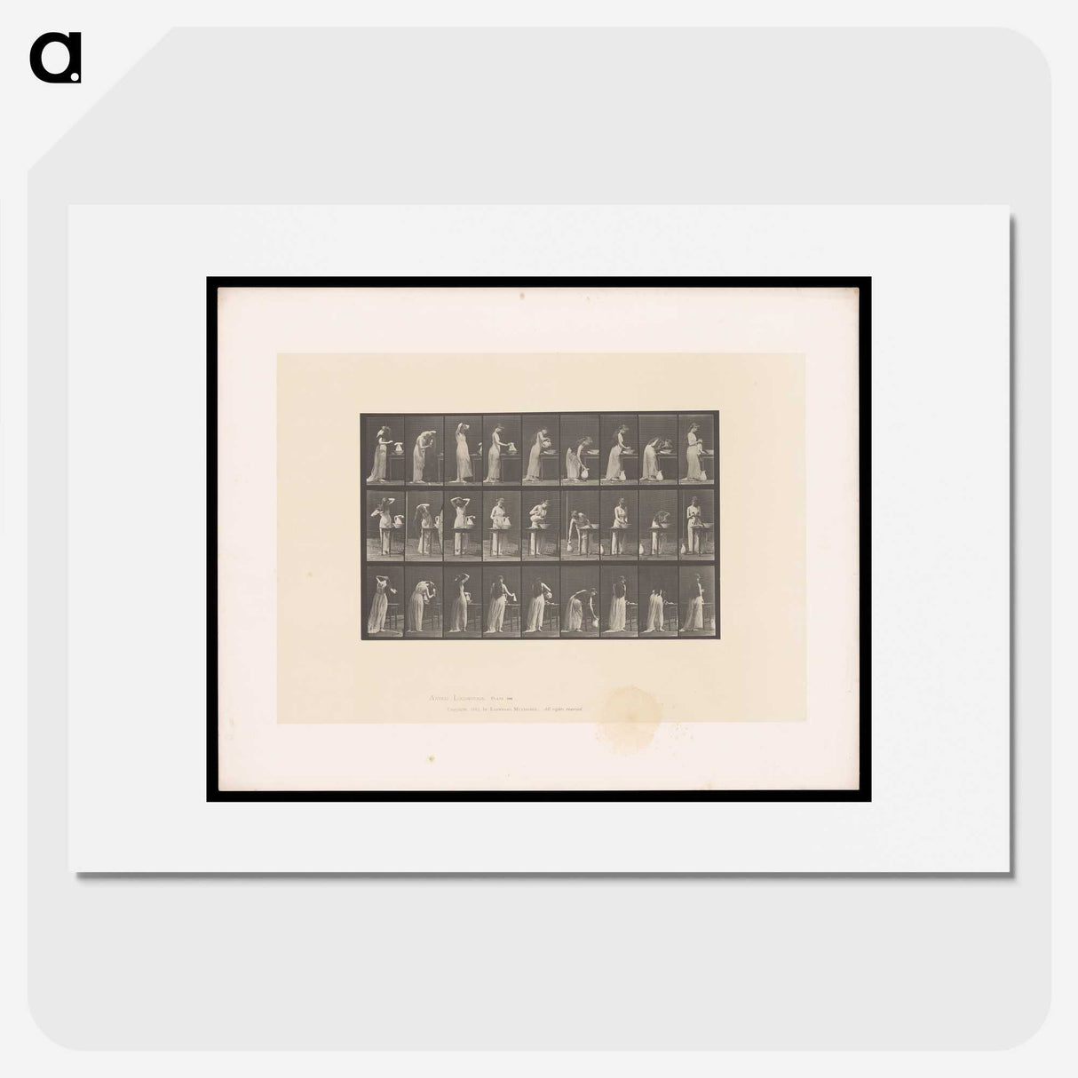 3-22_Eadweard-Muybridge_picture