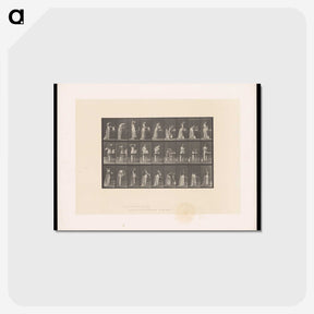 3-22_Eadweard-Muybridge_postcard