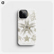 3-22_Ernst-Haeckel_phone