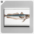 3-22_Ichtyologie-ou-Histoire-naturelle_canvas