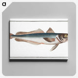 3-22_Ichtyologie-ou-Histoire-naturelle_canvas