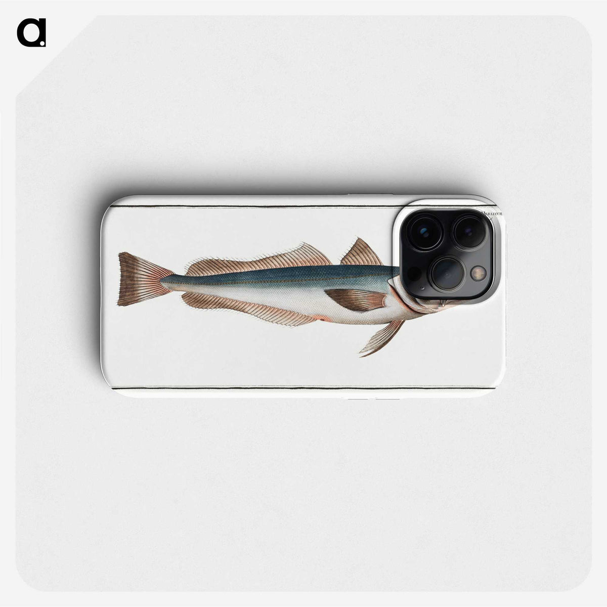 3-22_Ichtyologie-ou-Histoire-naturelle_phone