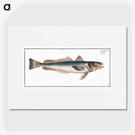 3-22_Ichtyologie-ou-Histoire-naturelle_picture