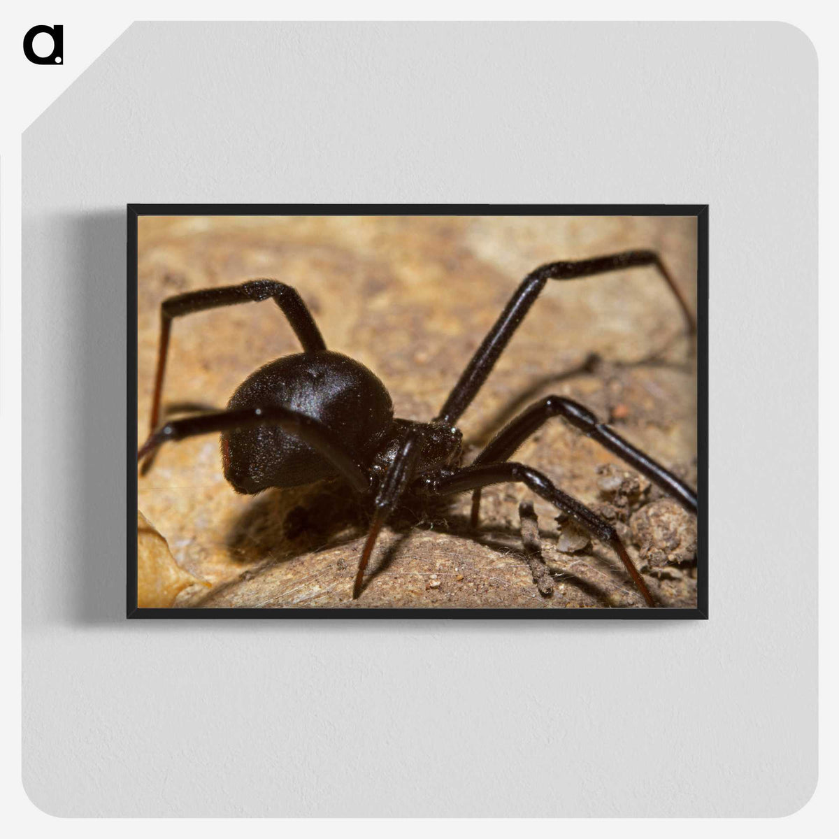 3-22_Insects-Unlocked-Project_blk-crop
