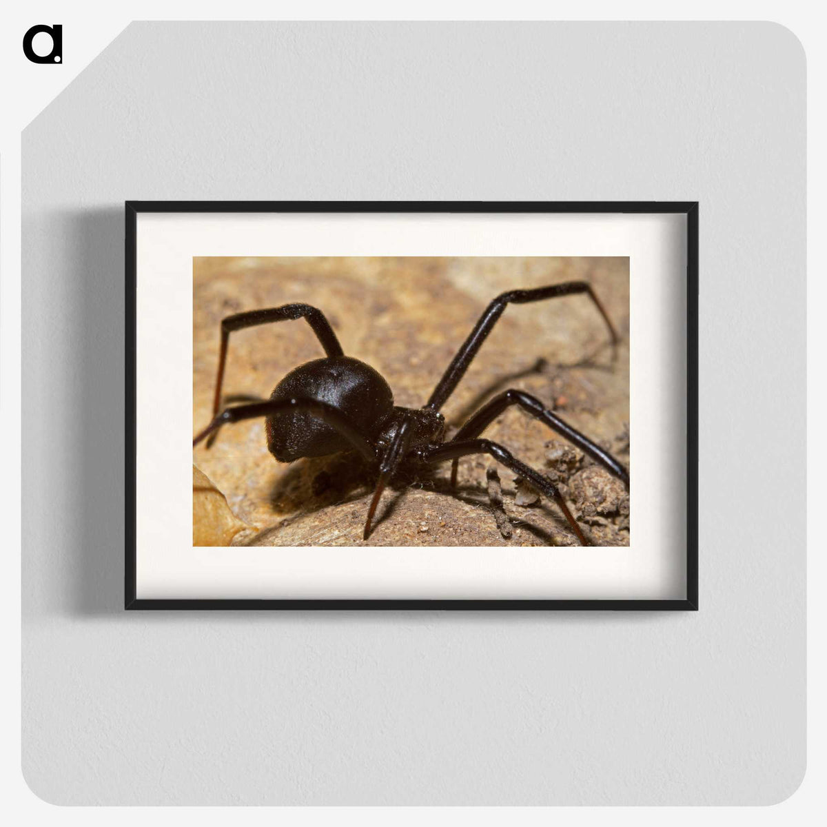 3-22_Insects-Unlocked-Project_blk