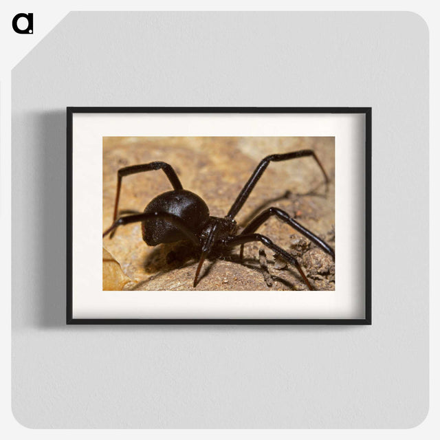 3-22_Insects-Unlocked-Project_blk