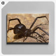 3-22_Insects-Unlocked-Project_canvas
