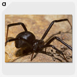 3-22_Insects-Unlocked-Project_picture-crop