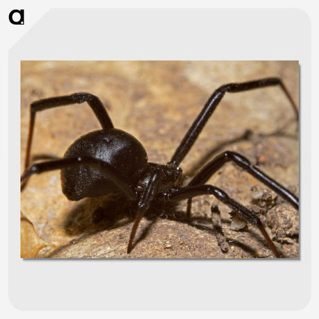 3-22_Insects-Unlocked-Project_picture-crop