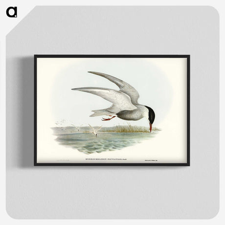 3-22_John-Gould_blk-crop
