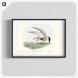 3-22_John-Gould_blk