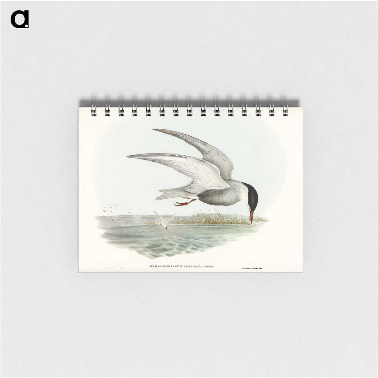3-22_John-Gould_memo