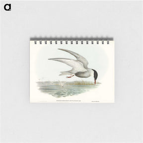 3-22_John-Gould_memo