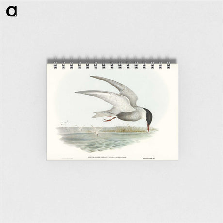 3-22_John-Gould_memo