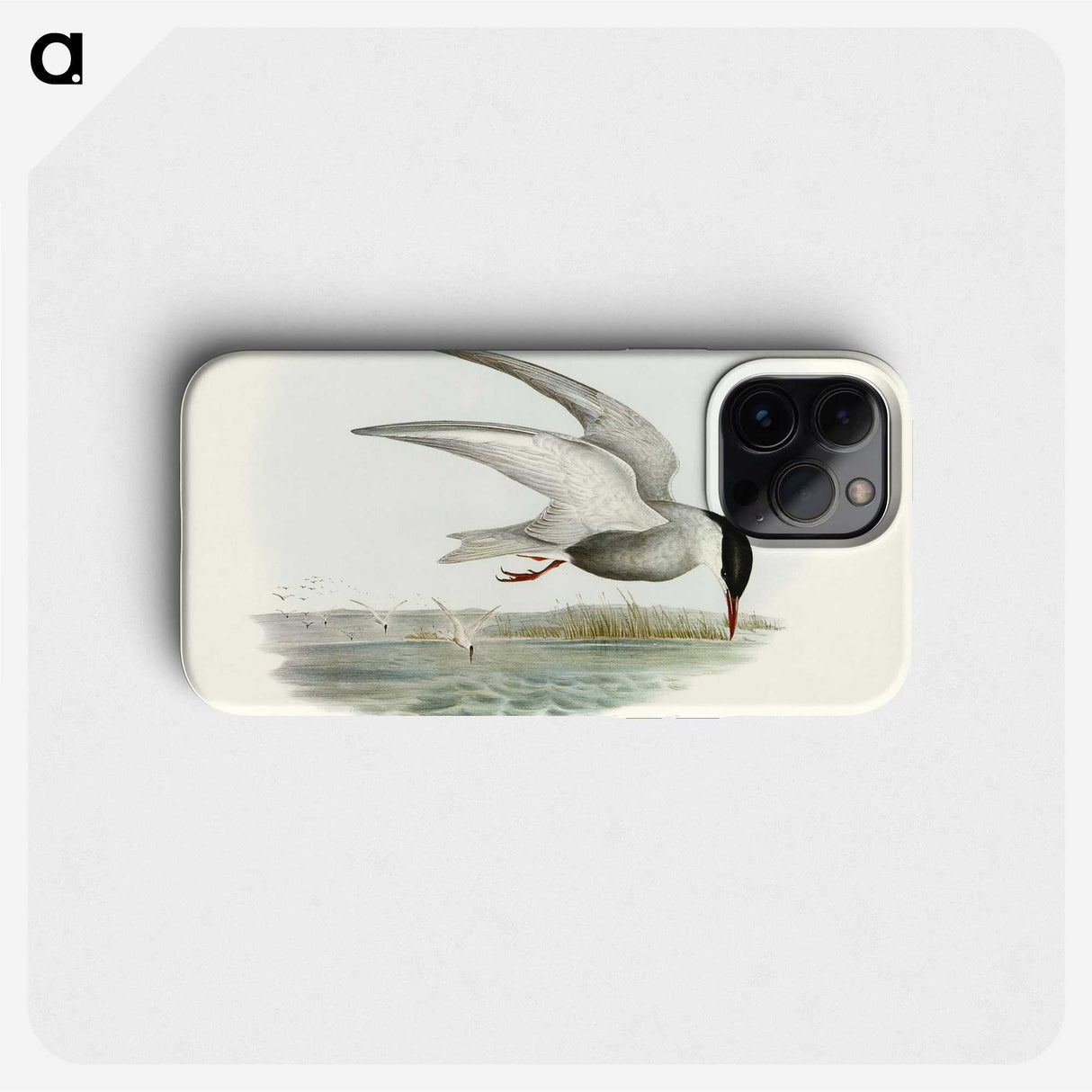3-22_John-Gould_phone