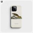 3-22_Magnus-von-Wright_phone