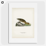 3-22_Magnus-von-Wright_picture