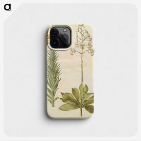 3-22_Maria-Sibylla-Merian_phone
