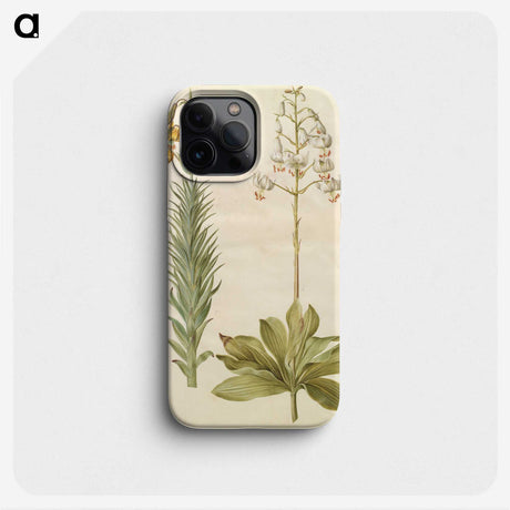 3-22_Maria-Sibylla-Merian_phone