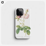 3-22_Pierre-Joseph-Redoute_phone