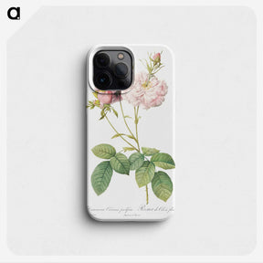3-22_Pierre-Joseph-Redoute_phone