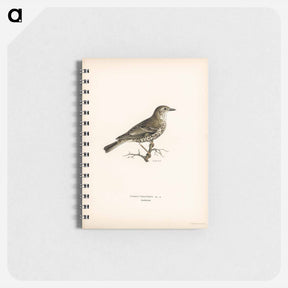 アートメモ帳-Turdus viscivorus
 - スヴェンスカ フォグラル Memo.