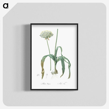 3-22_The-Lilies_blk-crop