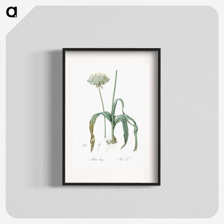 3-22_The-Lilies_blk