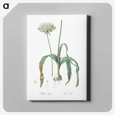3-22_The-Lilies_canvas