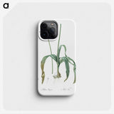 3-22_The-Lilies_phone