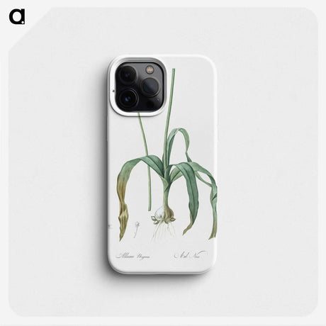 3-22_The-Lilies_phone