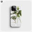 3-22_Treatise-on-Trees-and-Shrubs_phone