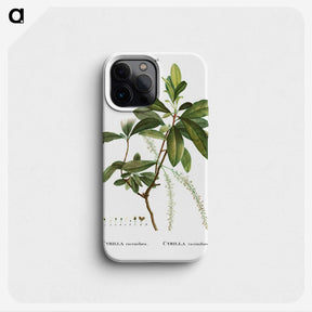 3-22_Treatise-on-Trees-and-Shrubs_phone