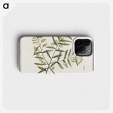 3-23_Anselmus-Boetius-de-Boodt_phone