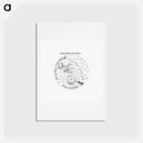 アートポストカード-World atlas from Voyeur's Checklist - アンティーク地図 Postcard.