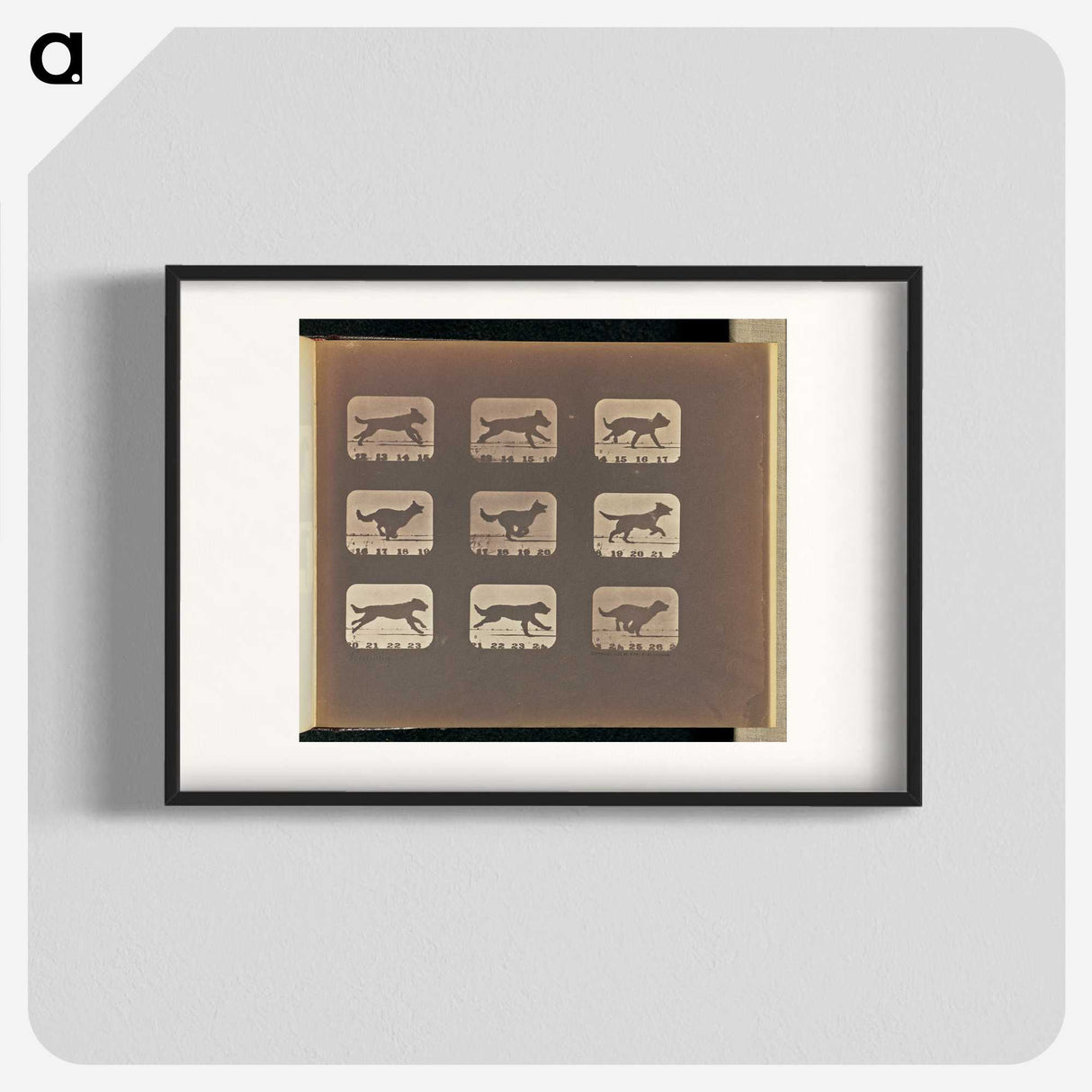 3-23_Eadweard-Muybridge_blk