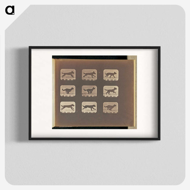 3-23_Eadweard-Muybridge_blk