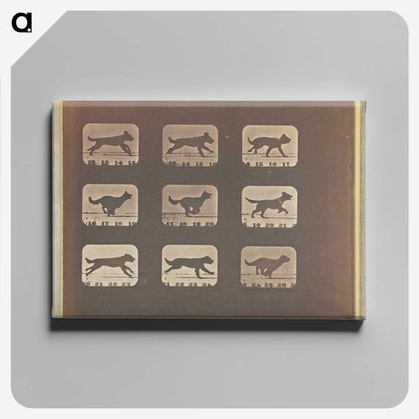 3-23_Eadweard-Muybridge_canvas