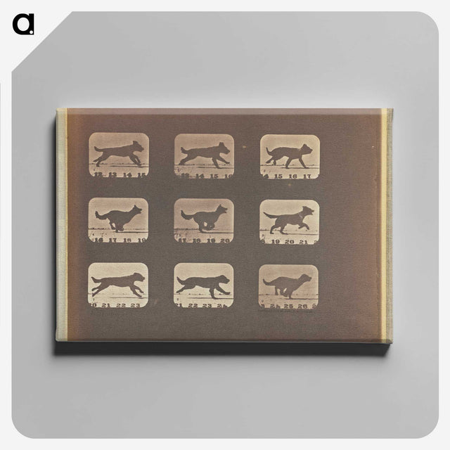 3-23_Eadweard-Muybridge_canvas