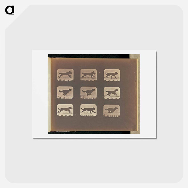 アートポストカード-Running
 - エドワード マイブリッジ Postcard.