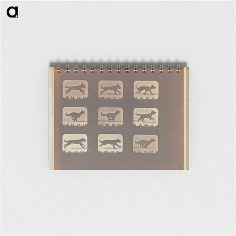 3-23_Eadweard-Muybridge_memo