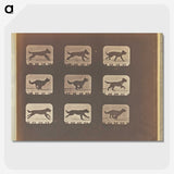 3-23_Eadweard-Muybridge_picture-crop