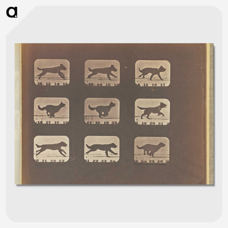 3-23_Eadweard-Muybridge_picture-crop