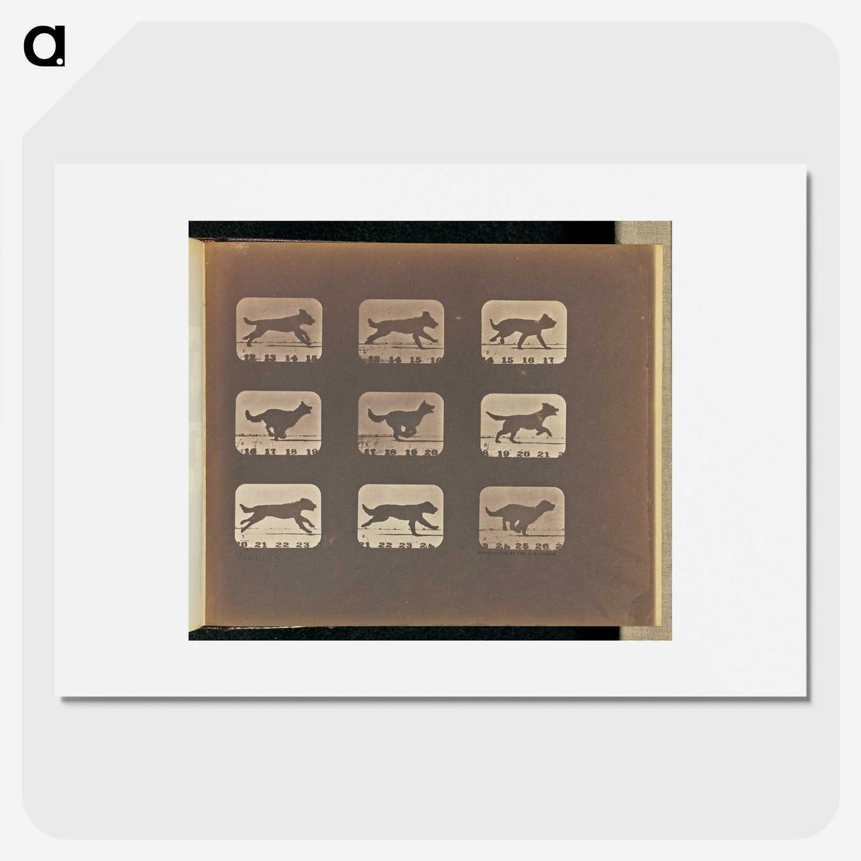 3-23_Eadweard-Muybridge_picture
