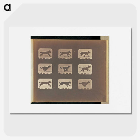 3-23_Eadweard-Muybridge_picture
