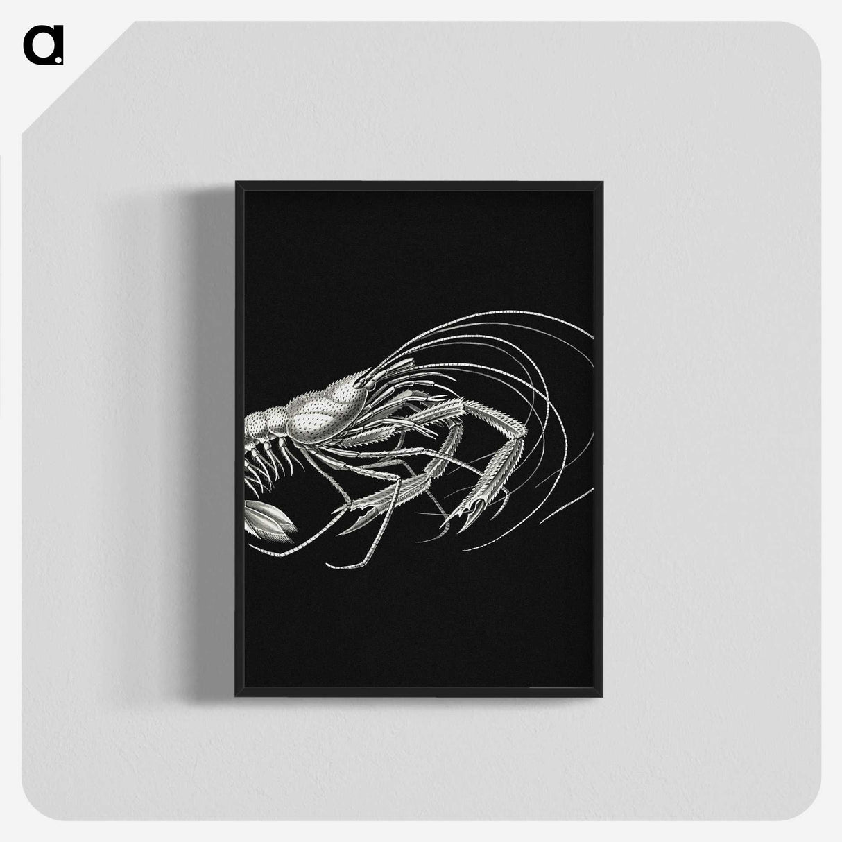 3-23_Ernst-Haeckel_blk-crop