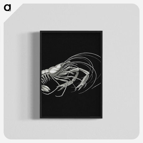 3-23_Ernst-Haeckel_blk-crop