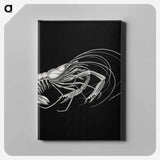 Vintage prawn marine life illustration - エルンスト ヘッケル Canvas.